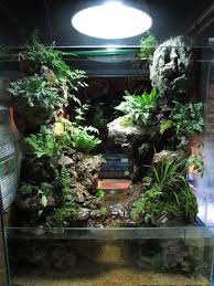 Paludarium With Water Fall Cave And Ponds Diy Waterfall Custom Aquarium Aquascape