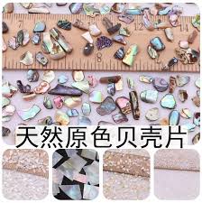 天然色螺鈿片原色大貝...