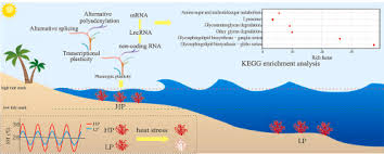 Please understand, however, that there will be significant delays as the office must close to all but essential staff. Nanopore Long Read Rnaseq Reveals Regulatory Mechanisms Of Thermally Variable Reef Environments Promoting Heat Tolerance Of Scleractinian Coral Pocillopora Damicornis Sciencedirect