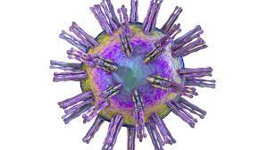 Herpes Simplex Virus Hsv Scheda Virologica Ed Approfondimenti