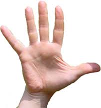 Btw,if it means bad meaning,you should hold up the pinky finger like the middle finger does;and if it. Pinky Finger Mark Seltman S Real Palmistry Blogmark Seltman S Real Palmistry Blog