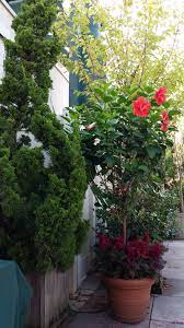 Custom nyc urban gardens bring beauty to the big city. Nyc Landscape Design And Construction Drip Irrigation Outdoor Lighting Garden Design