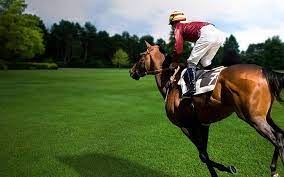 Horse racing horses riding sports wallpaper | allwallpaper. Hd Wallpaper Racing Horse Racing Wallpaper Flare