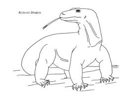 If it loses a tooth the tooth willl re grow. Komodo Dragon Coloring Page By Mama Draw It Teachers Pay Teachers