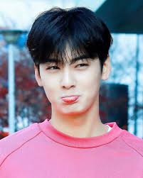 Or simply eunwoo) is a south korean singer and actor under fantagio music. Pannatic On Twitter Fans Are In Shock After Rocky Explains How Good Looking Cha Eunwoo S Younger Brother Is Https T Co Foe1h6zwg6 Astro Rocky Chaeunwoo Https T Co Gr7yb1jnpf