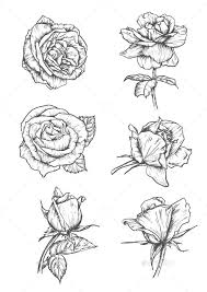 Rose Buds Icons Flower Sketch Emblems Tattoo Flower Sketches Flower Sketch Pencil Rose Sketch