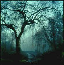 Dark Garden Landscape Silhouette Haunted Forest Pictures To Paint