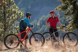 An upright riding position and stable handling characteristics offer control on uneven ground, chunky. Best Mountain Bike Brands Of 2021 Switchback Travel