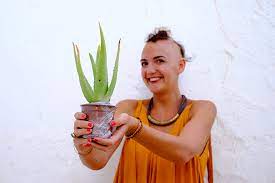 Aloe vera is full of nourishing vitamins and moisturizing properties great for the scalp and hair. Aloe Vera For Hair Loss Natural Remedies Lady Alopecia