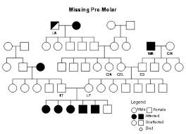 pedigree analysis tuftsbg2007 vin