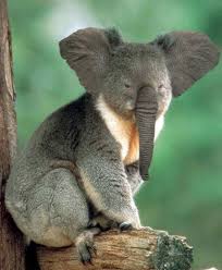 30 Amazing Animal Manipulations Photoshopped Animals Weird Animals Animal Mashups