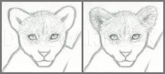 39+ baby lion coloring pages for printing and coloring. How To Draw A Lion Cub Lion Cubs Coloring Page Trace Drawing
