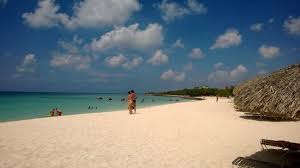 Amsterdam parks & nature for such a small city, amsterdam is bursting with green. Hotellets Strand Bild Von Amsterdam Manor Beach Resort Aruba Tripadvisor