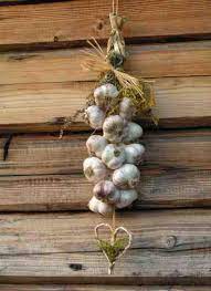 Pin On Garlic Theme Kitchen