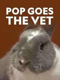 National geographic / tv program celý deň. National Geographic Tv Shows Specials Documentaries