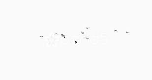 Free Images Birds In Flight 4k Flying Birds Stock Footage Birds Flying Footage Stock Birds Flying Birds Blue Tree