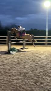 Pony Bambino - Instagram