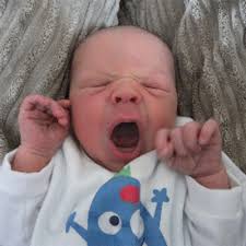 Wayne Clemens (@WayneClemens)