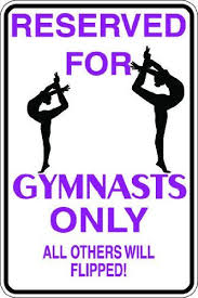 Image result for gymnastics