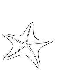 Seestern Ausmalbild Malvorlage Ausmalbilder Fur Kinder Meerestiere Seestern Ausmalen