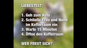 Was wäre nur whatsapp ohne all die lustigen bilder, die wir von unseren verwandten und freunden der whatsapp status bietet sich an, um der ganzen welt zu zeigen, was sie gerade tun oder wo sie sind. Die Lustigsten Bilder Fur Whatsapp Bilder Screenshots Computer Bild