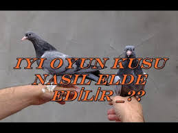 Oyun Kusu Esleme Nasil Olmali Youtube