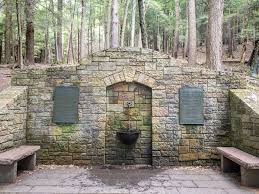 9 Amazing Things To Do In Cook Forest State Park Uncoveringpa