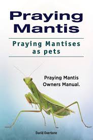 Praying Mantis Praying Mantises As Pets Praying Mantis Owners Manual Overtone David 9781788650700 Amazon Com Books