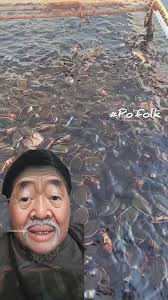 Po Folks Chitterlings