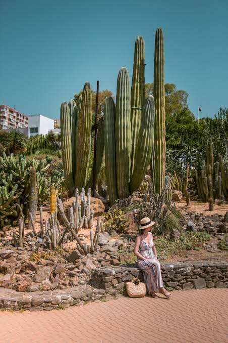 PARQUE DE LA PALOMA