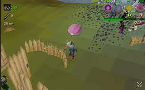 Where to find information for your pest analysis. Pest Control Osrs Guide Rewards Fast Points Gamedb