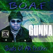 Birds Of A Feather Movie Birds Of Ah Feather Mp3 320kbs Young Thug Lil Baby Feather