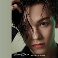 Adu Pesona Bangchan Stray Kids dan Vernon SEVENTEEN