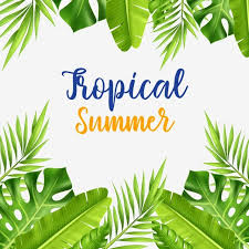 Tropical Summer Forest Green Leaves And Palm Palm Tropical Jungle Png And Vector With Transparent Background For Free Download In 2020 Palm Tree Pattern Tropical Palm Tree Pattern Palm Tree Leaves