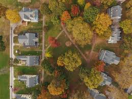 Behold, The Spectacular Fall Foliage On Governors Island From Above