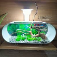 Aquarium tidak hanya berbentuk bulat atau kotak saja! Jual Aquarium Unik Terlengkap Terbaik Harga Murah July 2021