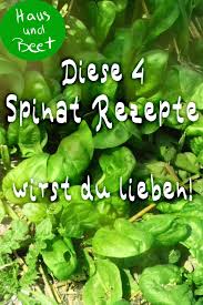 Spinat Die Energiebombe Aus Dem Garten Haus Und Beet Spinat Vegetarische Rezepte Spinat Anbauen