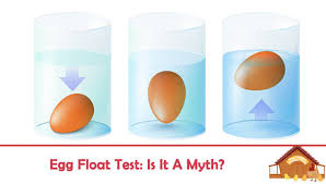 egg float test: is it a myth? the