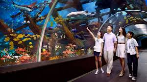 Aquarium, hotels, celebrity chef restaurants & more! Resorts World Sentosa Visit Singapore Official Site