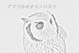 アフリカオオコノハズク フクロウ イラスト ミミズク フクロウアート