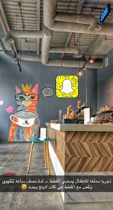 عاشق مطاعم On Twitter مقهى القطط كات لاونج تجلس تتقهوى وتلعب مع القطط والتجربه ممتعه للاطفال ومحبي القطاوه التذكرة ب ٣٥ وتشمل مشروب بارد او حار حاطين اسماء القطط حقتهم وفصائلها