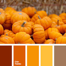 We did not find results for: Color Palette For Halloween Color Palette Ideas