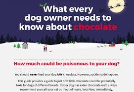 Annie weighs 34 times as much as max, so she would have had to have eaten about 34 times as much as he did to. How Much Chocolate Is Poisonous To Dogs Vets Now