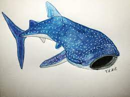 Fkmb_art Drawing Illustration Whale Shark Arrow Tattoo Design Watercolor Animals Whale