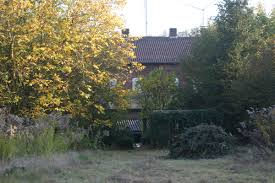 Wenn sie sich eine tolle ruheoase im garten schaffen möchten, dann sollten sie z.b. Der Garten Hoxtersche Str 17