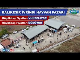 Livestock Market Odemis Izmir Youtube