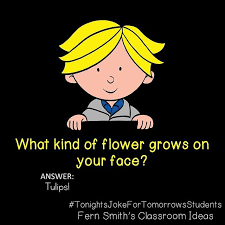 Tonight S Joke For Tomorrow S Students What Kind Of Flower Grows On Your Face Tulips Follow Me On Pinterest Wh Funny Jokes For Kids Cute Jokes Jokes For Kids