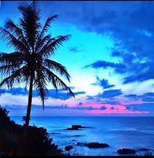 See more ideas about sunset wallpaper, wallpaper, sunset. Blue Sunset Palm Tree Wallpaper Novocom Top