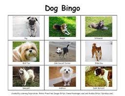this dog bingo printable game has photos of 45 dog breeds to help children learn about different types of dogs dogs different types of dogs types of dogs