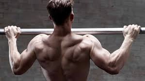 The Perfect Pull Up Progression Guide Ctrl Alt Fit